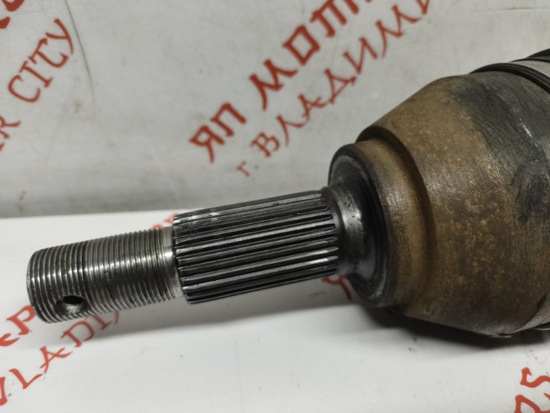 Привод, 7000 рублей, Владимир