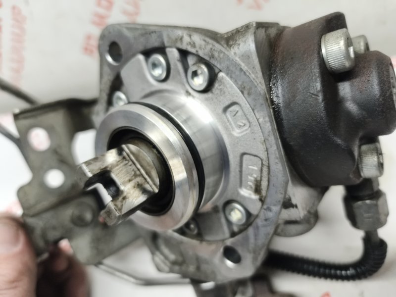 ТНВД, 8000 рублей, Владимир