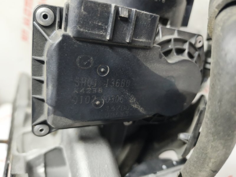 Коллектор впускной, 20000 рублей, Владимир