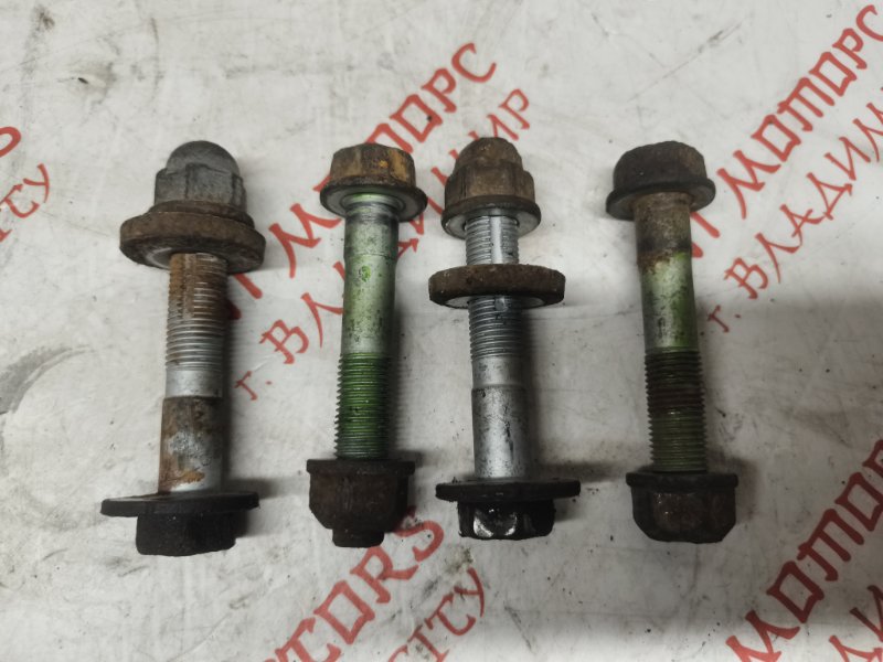 Болт развальный, 1000 рублей, Владимир