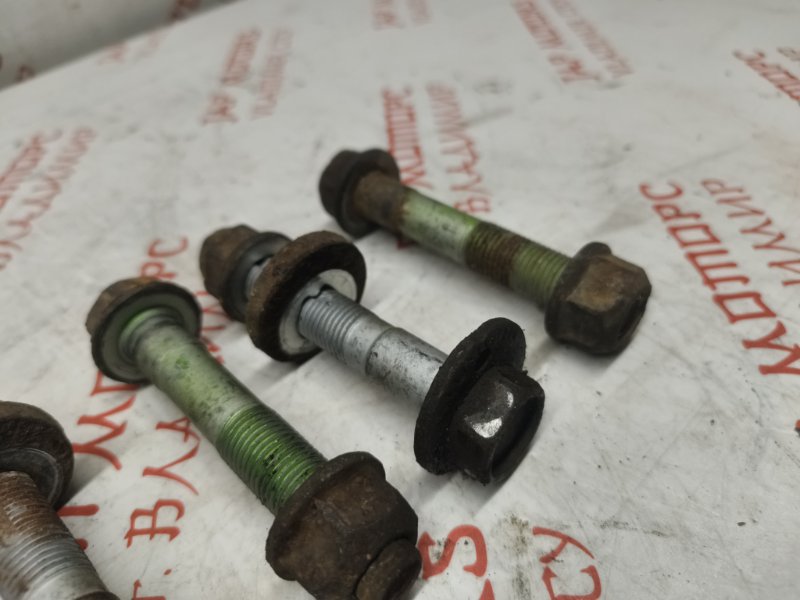 Болт развальный, 1000 рублей, Владимир