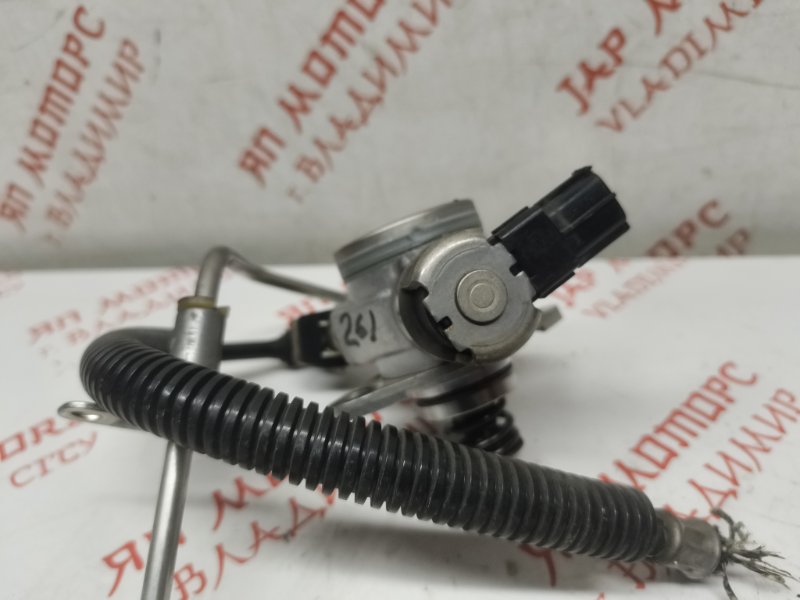 ТНВД, 10000 рублей, Владимир