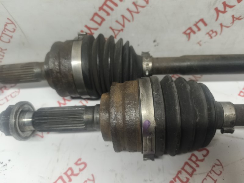 Привод, 5000 рублей, Владимир