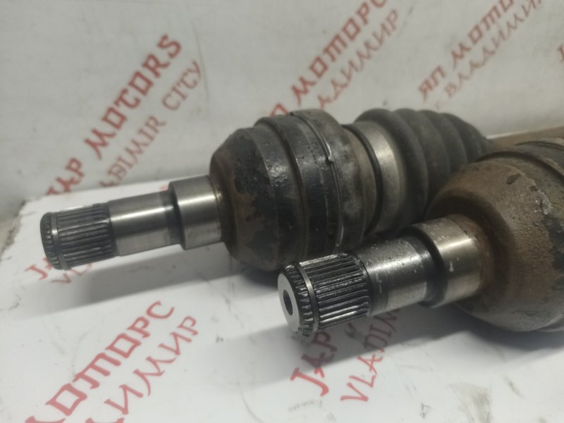 Привод, 4000 рублей, Владимир