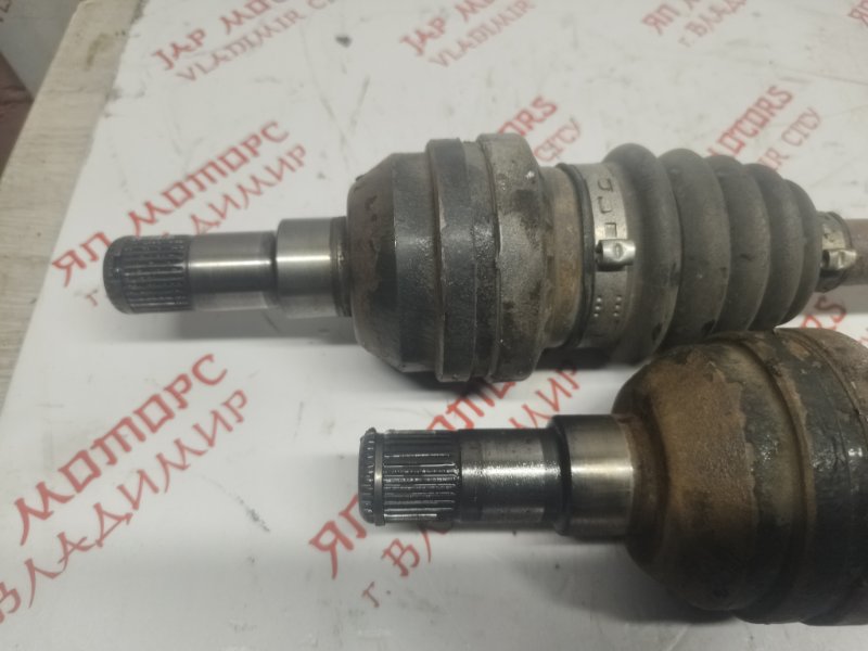 Привод, 4000 рублей, Владимир