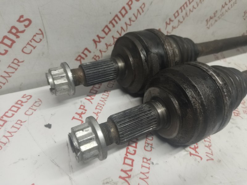 Привод, 5000 рублей, Владимир