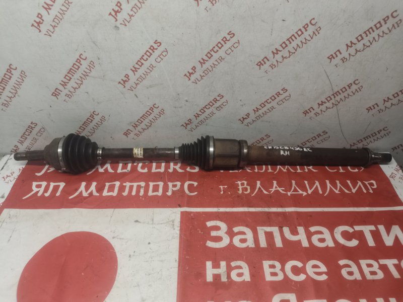 Привод, 7000 рублей, Владимир