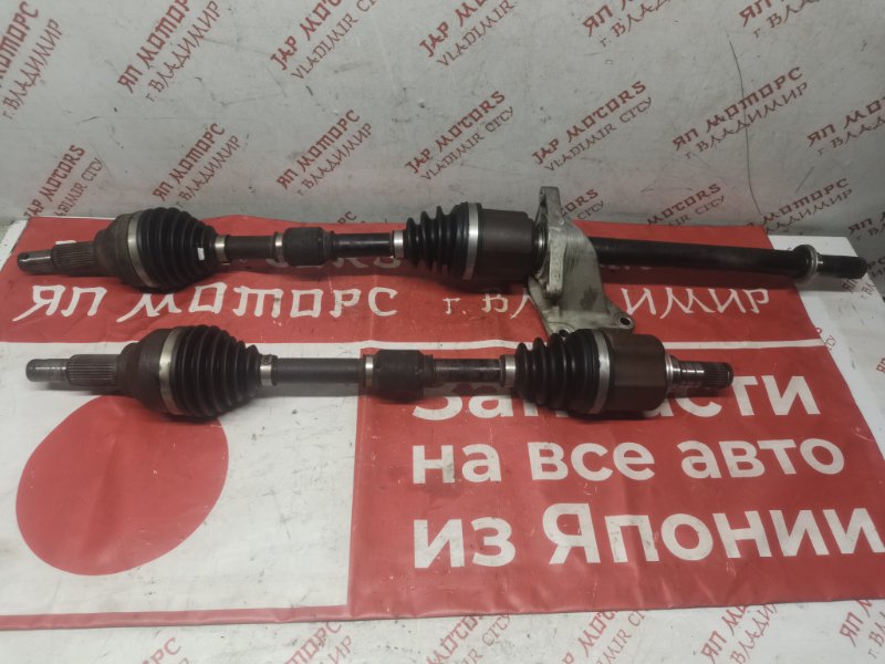 Привод, 10000 рублей, Владимир
