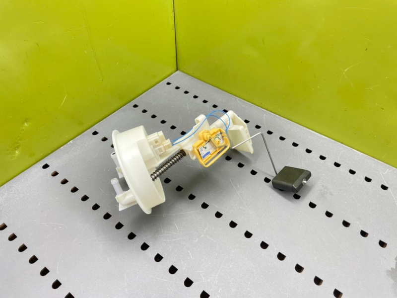 Дут, 1900 рублей, Калининград