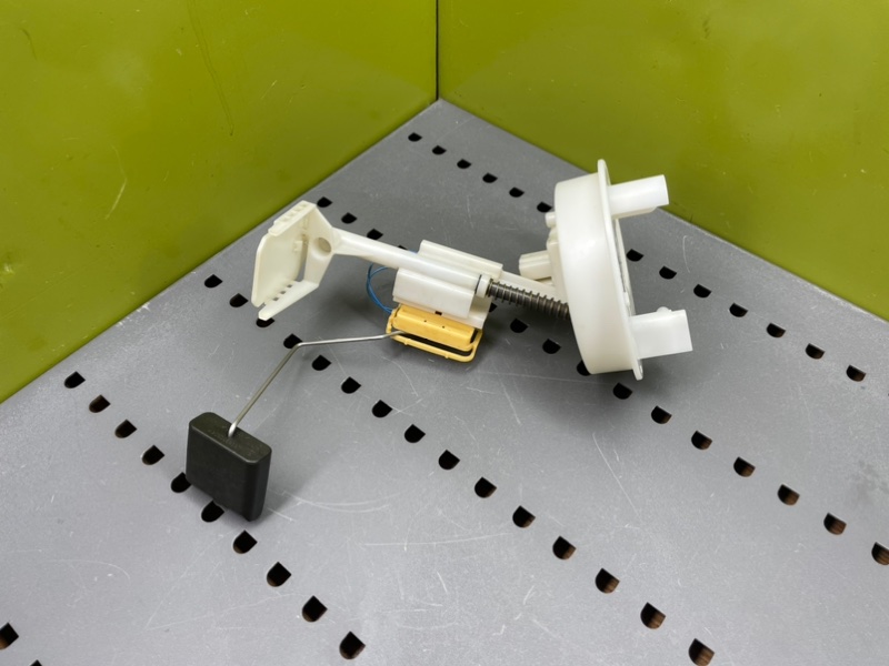 Дут, 1900 рублей, Калининград