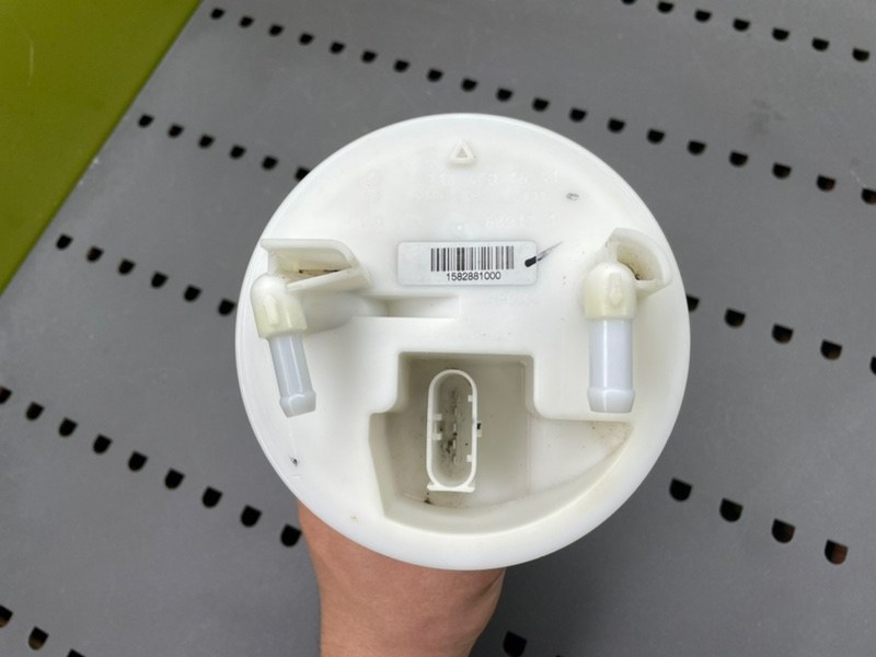 Дут, 1900 рублей, Калининград