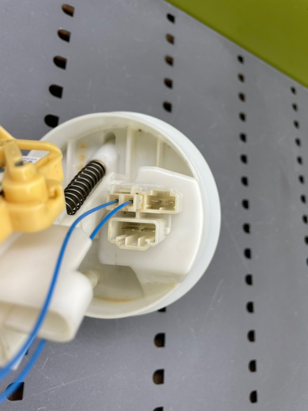 Дут, 1900 рублей, Калининград