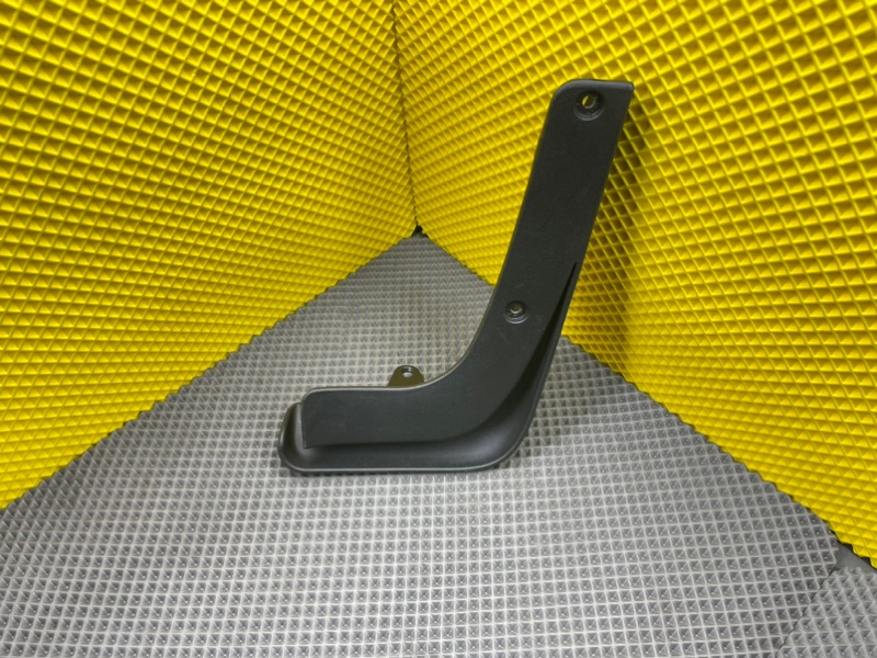 Брызговик, 1000 рублей, Калининград