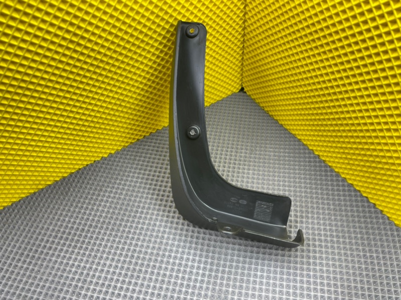 Брызговик, 1000 рублей, Калининград