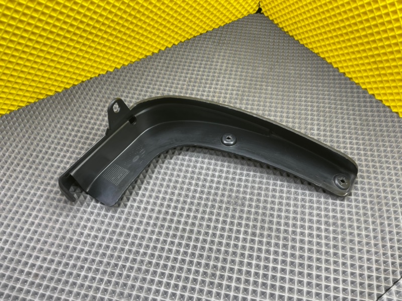 Брызговик, 1000 рублей, Калининград