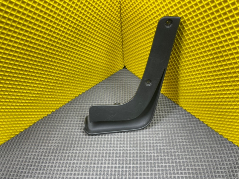 Брызговик, 1000 рублей, Калининград