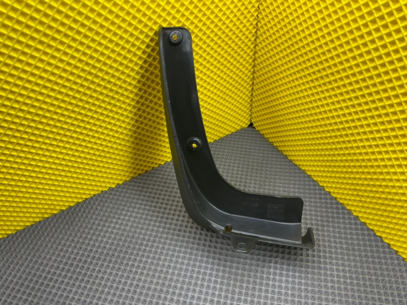 Брызговик, 1000 рублей, Калининград