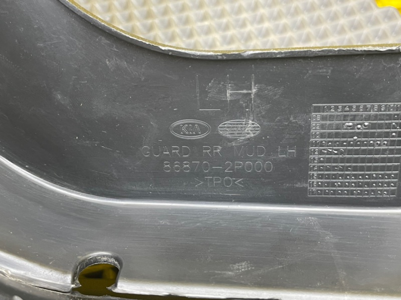 Брызговик, 1000 рублей, Калининград