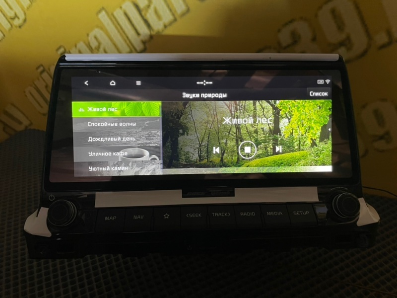 Головное устройство, 51100 рублей, Тверь