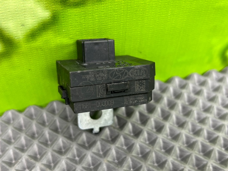 Блок, 1200 рублей, Калининград