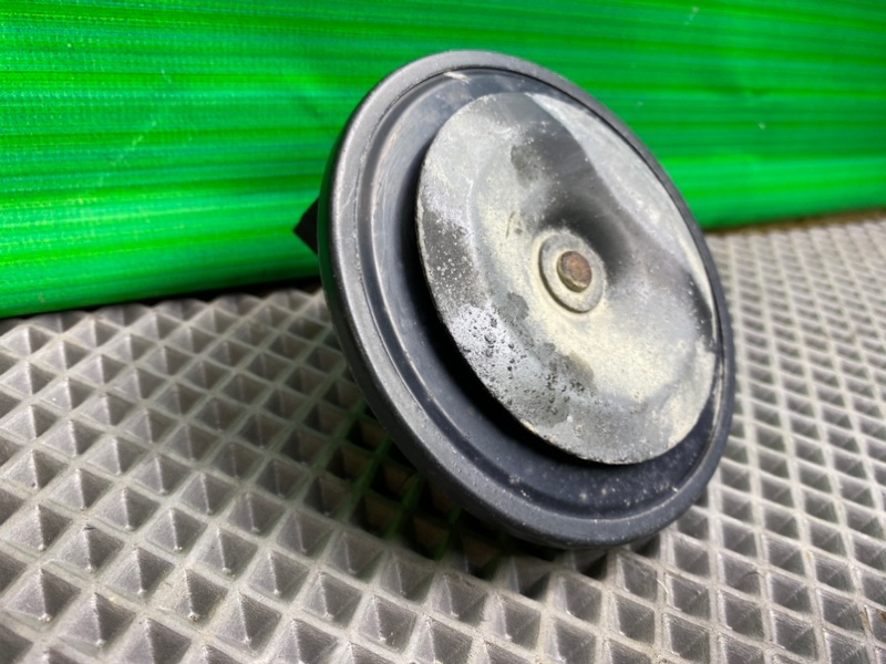 Звуковой сигнал, 1100 рублей, Калининград