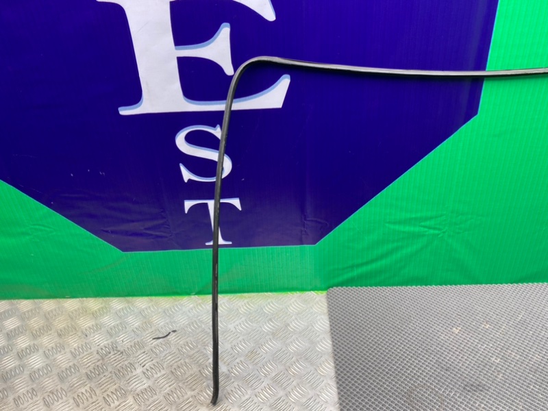 Молдинг лобового стекла, 2000 рублей, Калининград