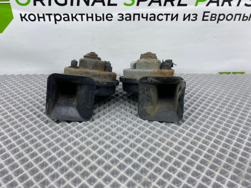 Звуковой сигнал, 1300 рублей, Калининград