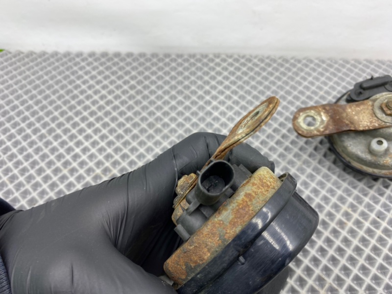 Звуковой сигнал, 1300 рублей, Калининград