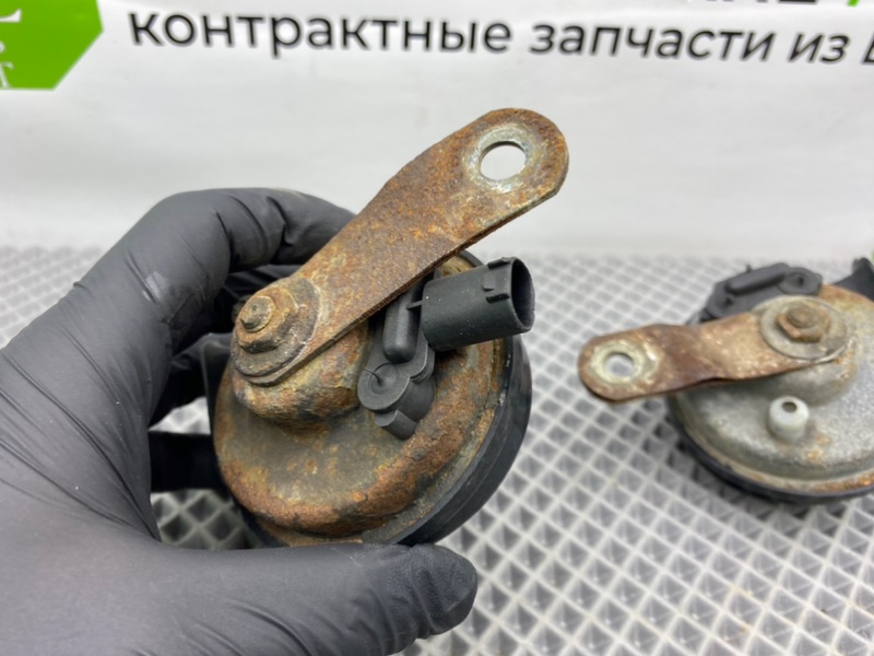 Звуковой сигнал, 1300 рублей, Калининград