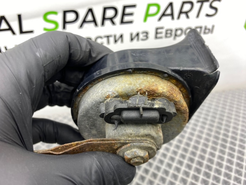 Звуковой сигнал, 1300 рублей, Калининград