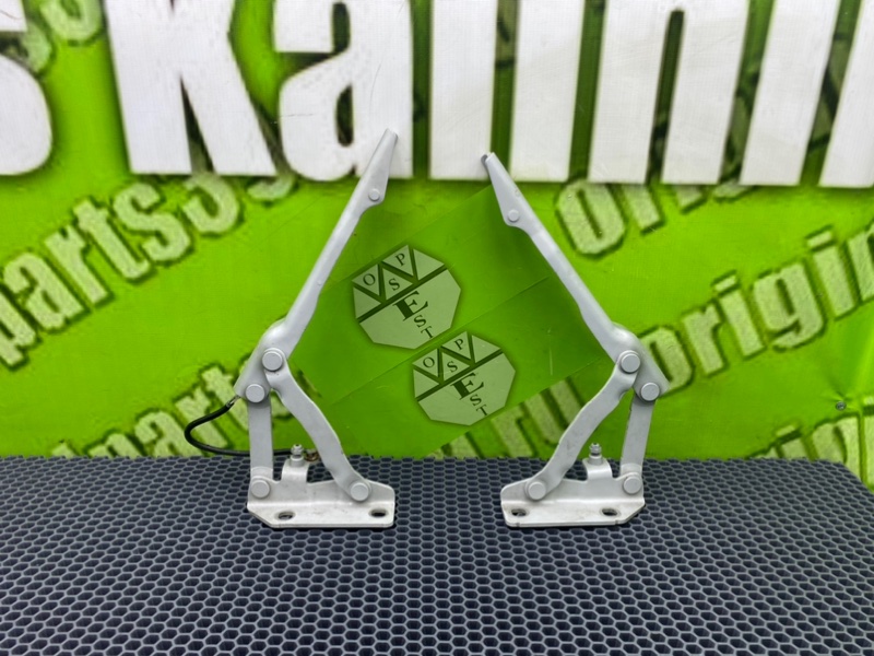 Петли капота, 1900 рублей, Калининград