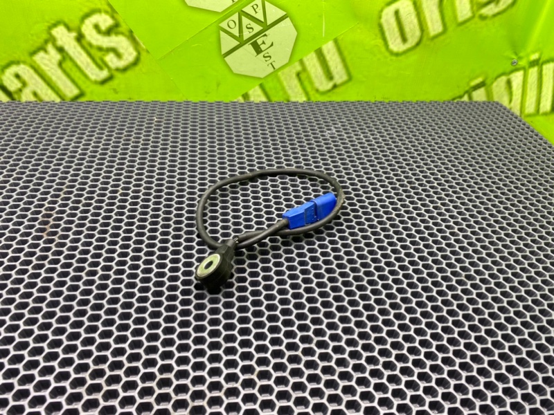 Датчик, 1000 рублей, Калининград