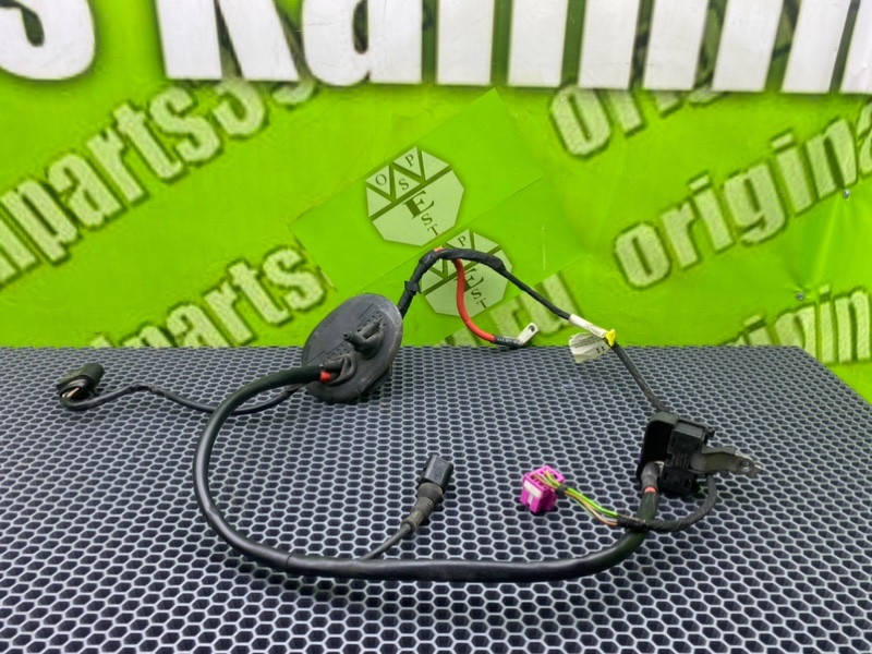 Проводка, 1500 рублей, Калининград