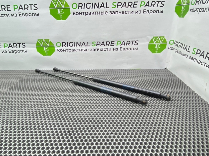 Амортизаторы багажника, 1900 рублей, Калининград