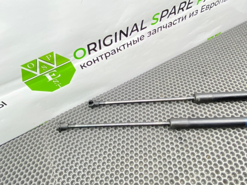 Амортизаторы багажника, 1900 рублей, Калининград