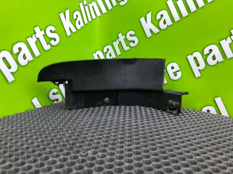 Брызговик, 1000 рублей, Калининград