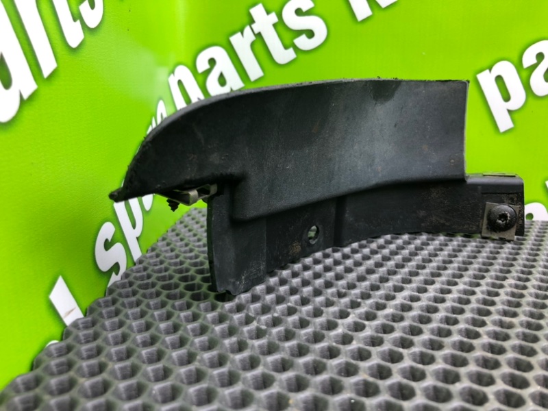 Брызговик, 1000 рублей, Калининград