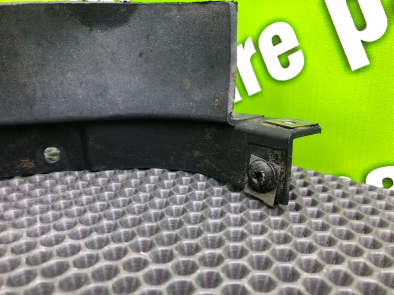 Брызговик, 1000 рублей, Калининград