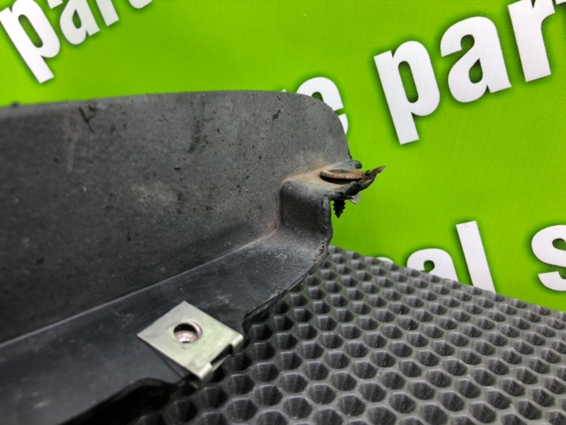 Брызговик, 1000 рублей, Калининград