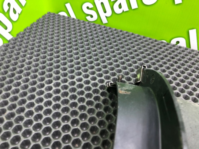 Брызговик, 1000 рублей, Калининград