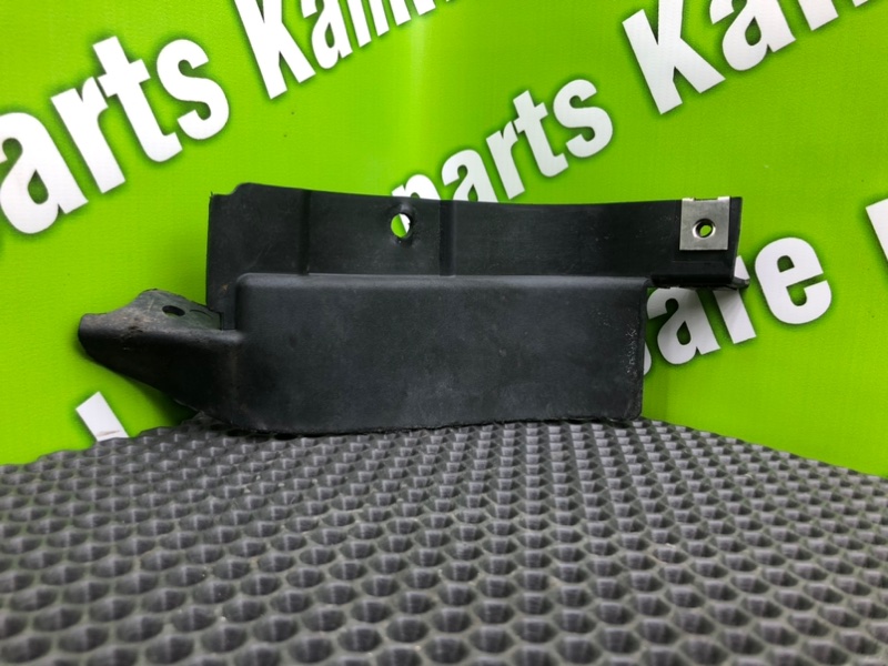 Брызговик, 1000 рублей, Калининград