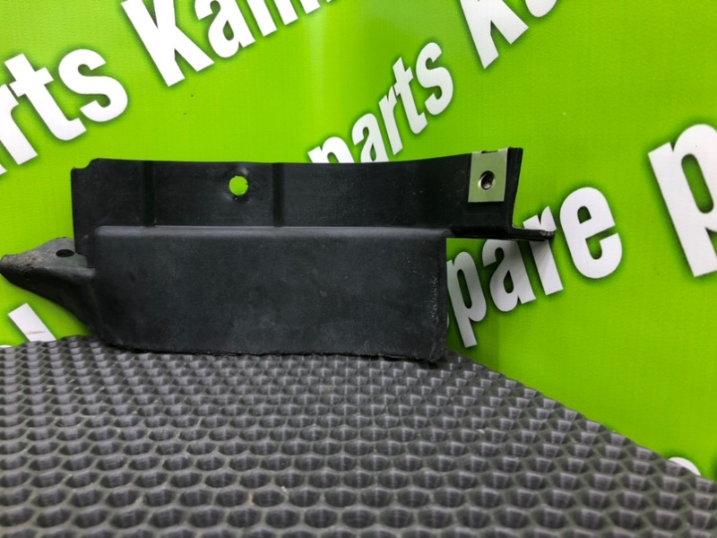 Брызговик, 1000 рублей, Калининград