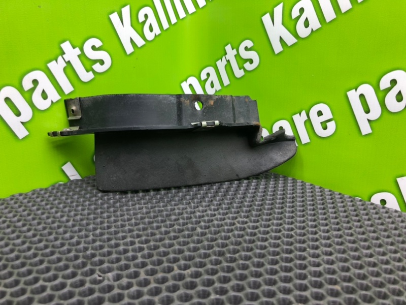 Брызговик, 1000 рублей, Калининград