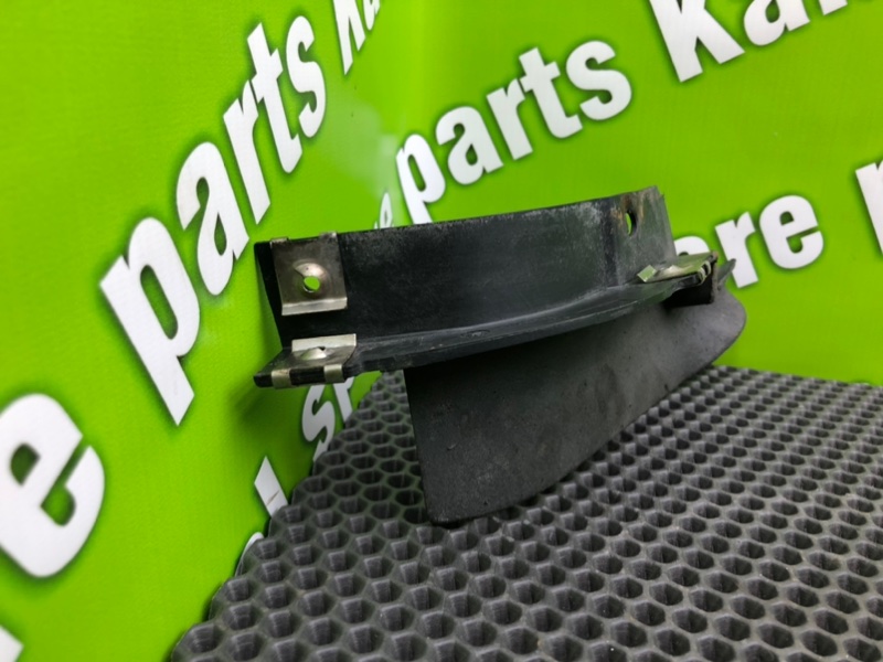 Брызговик, 1000 рублей, Калининград