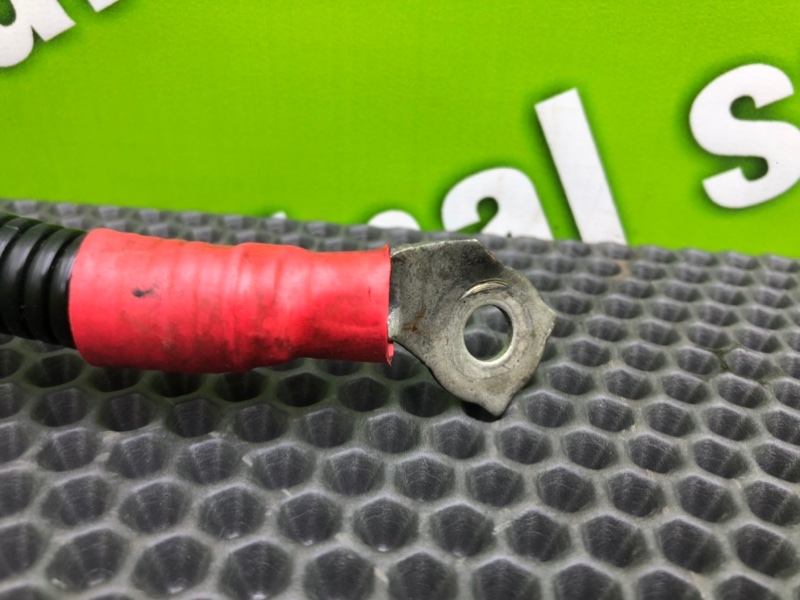 Провод стартера, 1100 рублей, Калининград