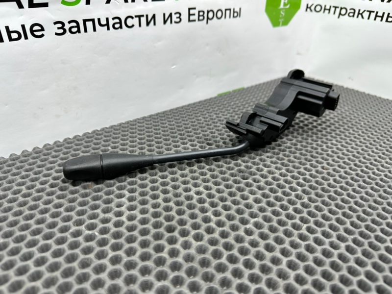 Гитара круиза, 1600 рублей, Калининград