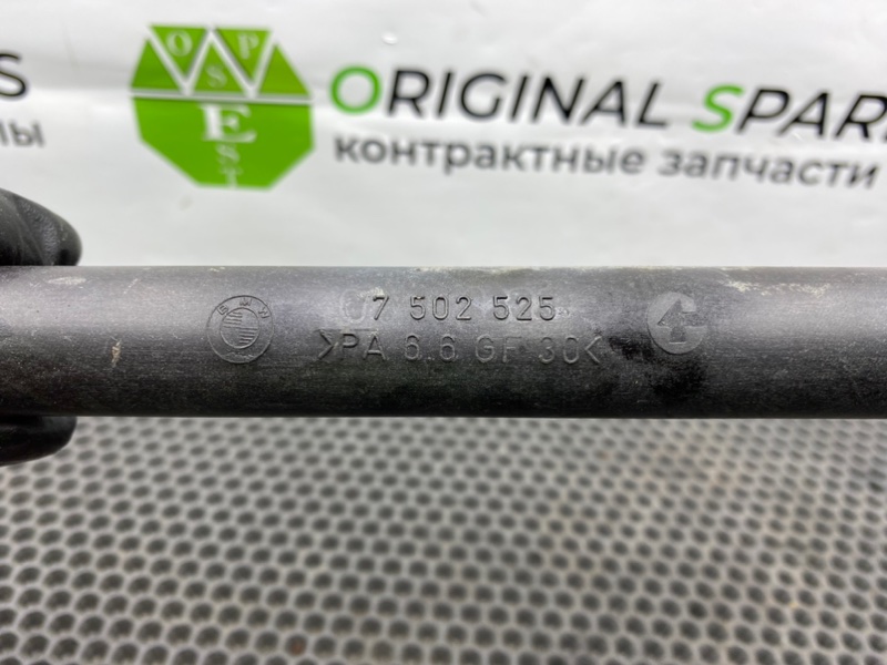 Трубка, 1900 рублей, Калининград