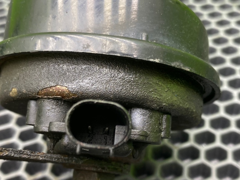 Звуковой сигнал, 1800 рублей, Калининград