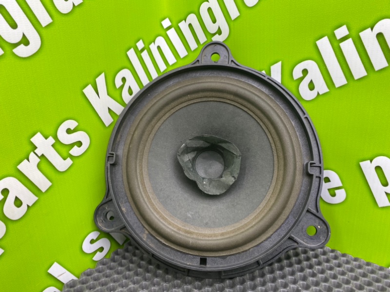 Динамик, 1100 рублей, Калининград