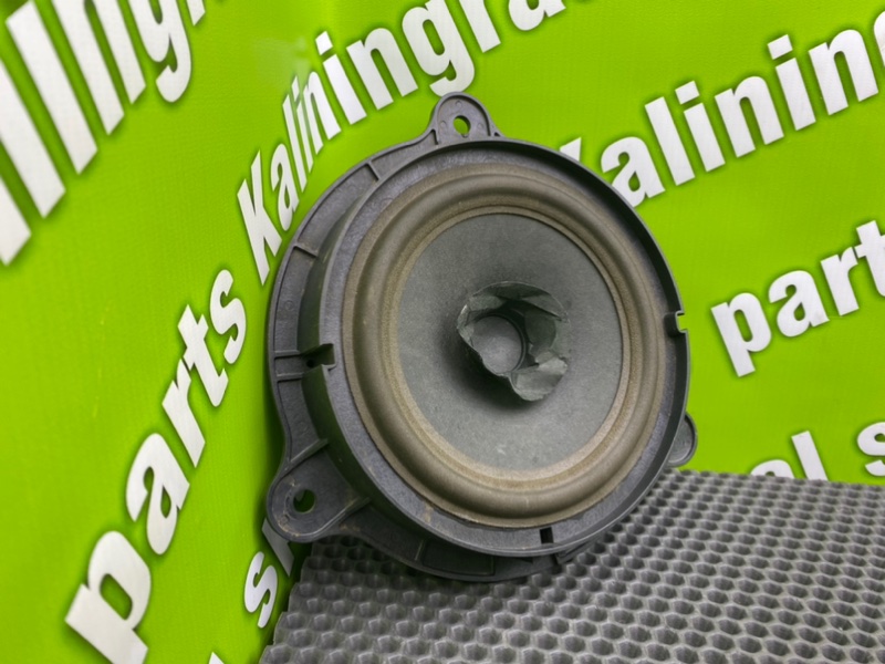 Динамик, 1100 рублей, Калининград